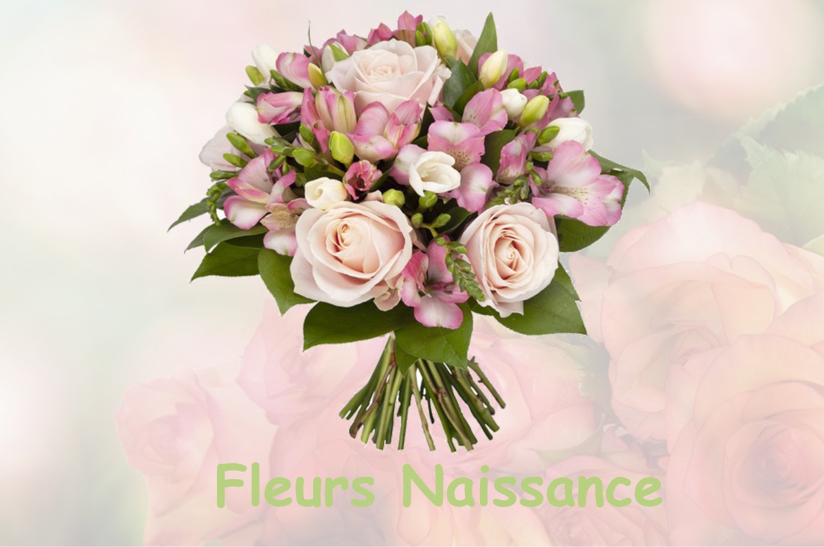 fleurs naissance SAINT-SULPICE-LAURIERE